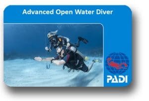 padi advanced open water komodo dragon dive komodo padi advanced open water komodo dragon dive komodo