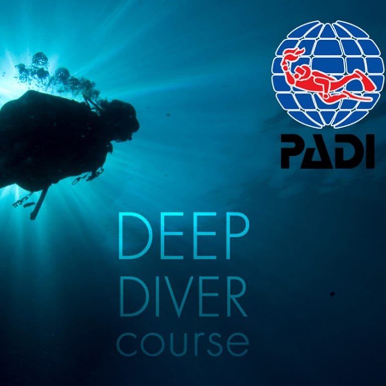 plongée profonde komodo padi Copier plongée profonde komodo padi Copier