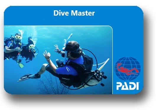 divemaster padi divemaster padi