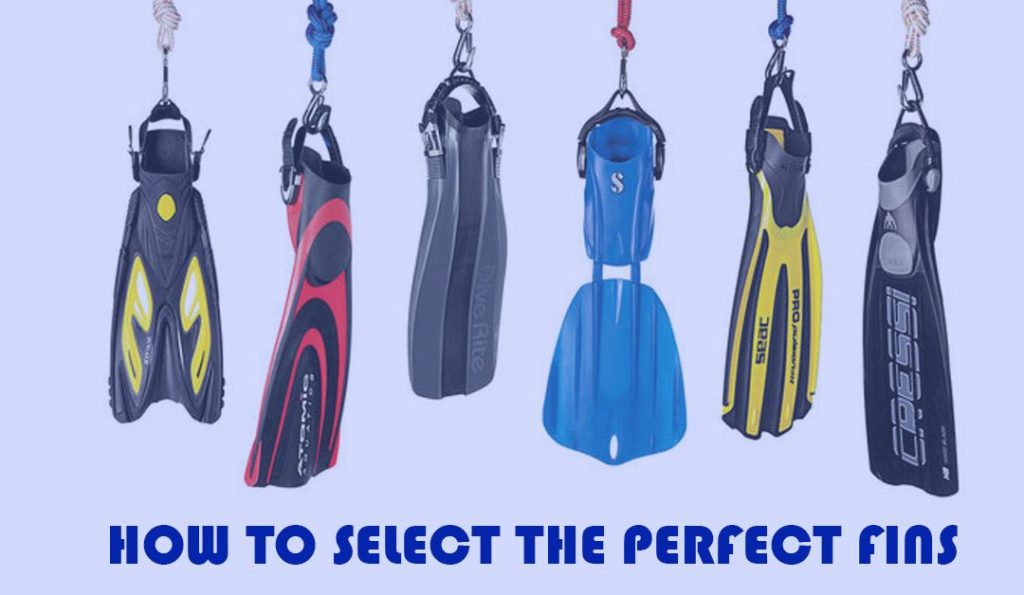 diving fins : how to find the perfect one