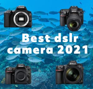 best reflex dive camera