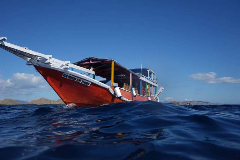 snorkeling komodo