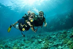 padi open water komodo