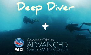 padi advanced open water and deep specialty combo in komodo