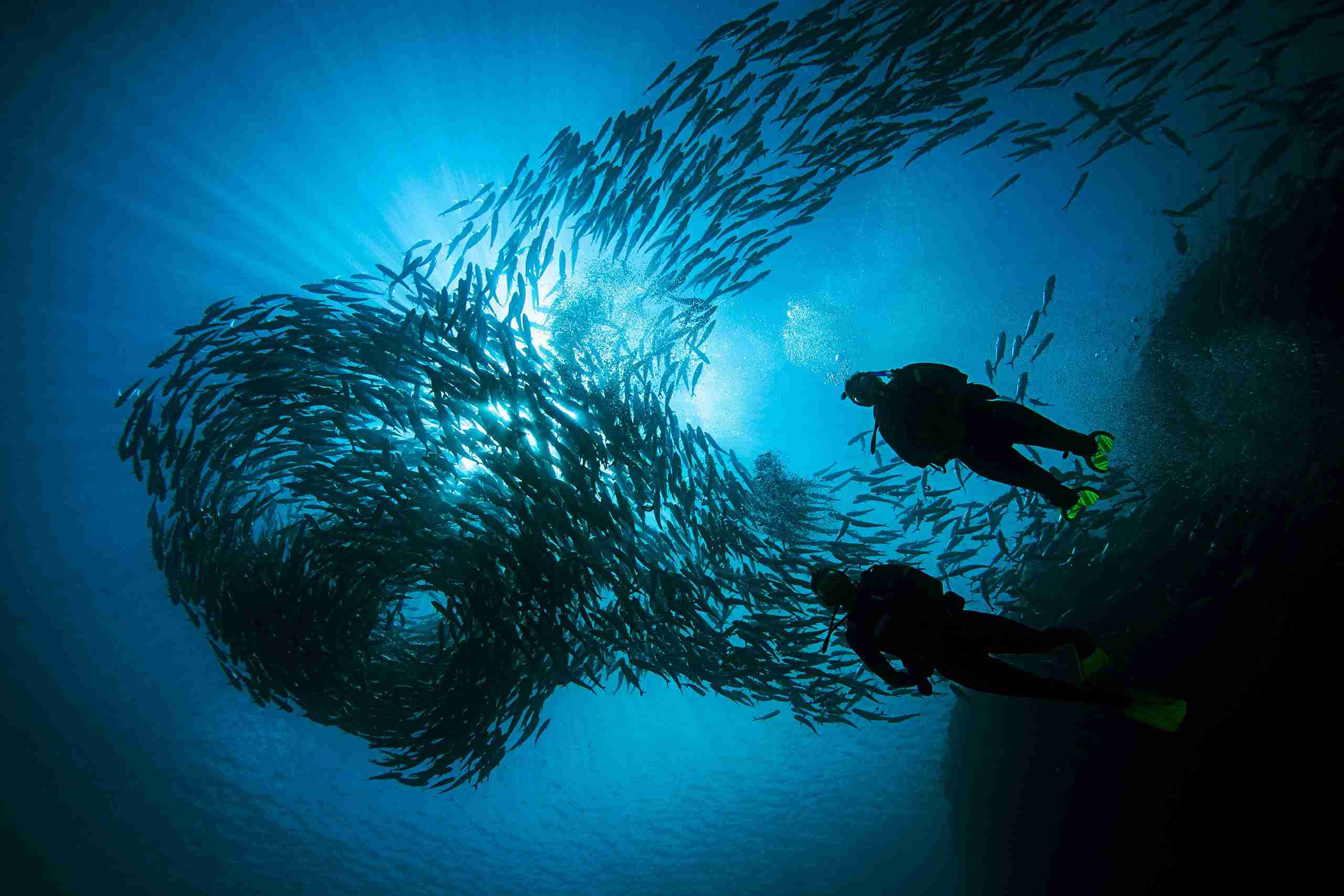 Advanced Open Water Diver in Komodo