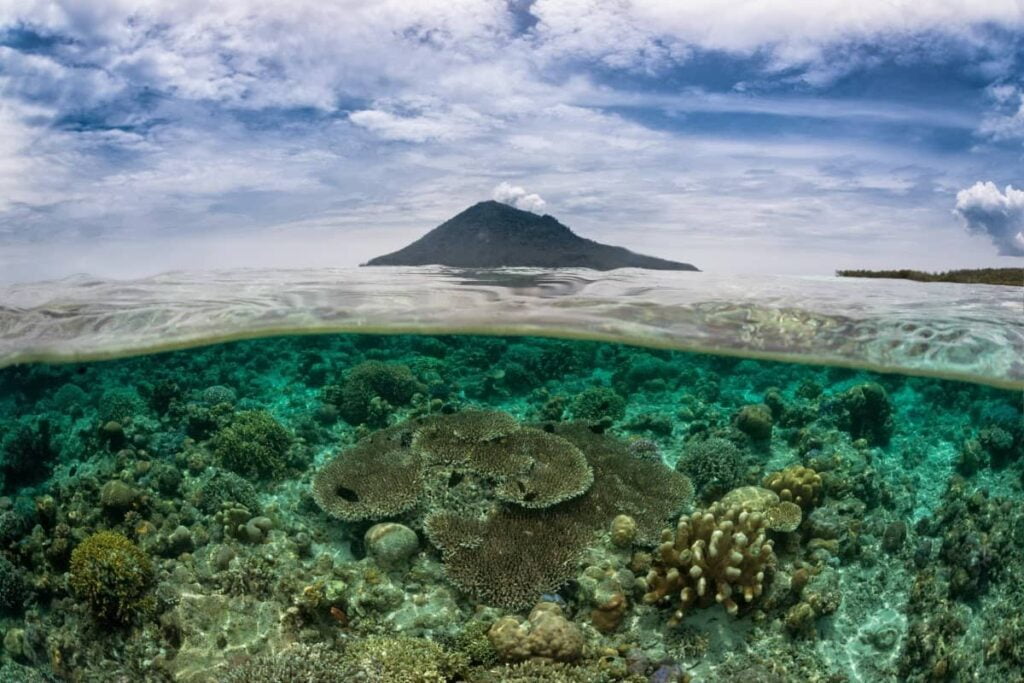 bunaken diving indonesia