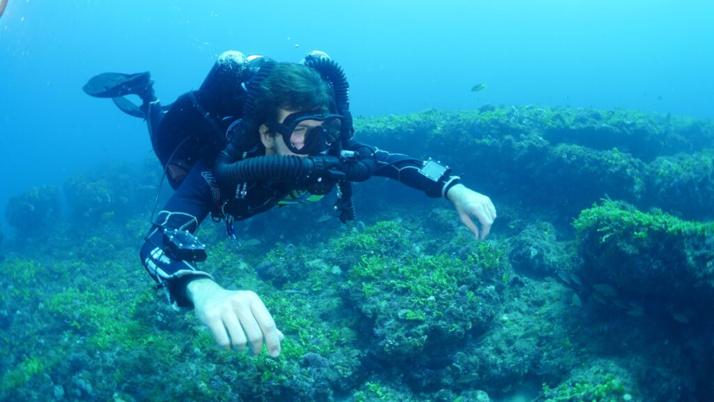 tdi diver course komodo