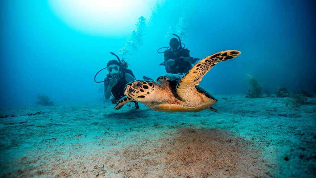 PADI diving instructor course komodo