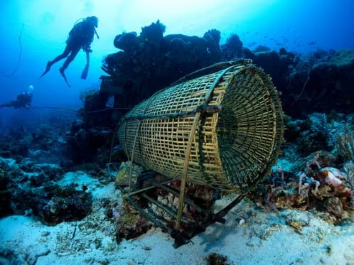 Liveaboard in Alor