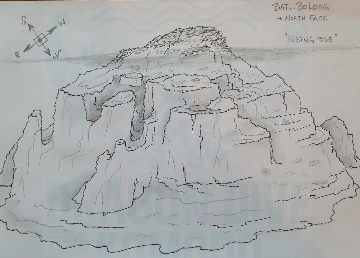 Dive map plan of Batu Bolong Komodo