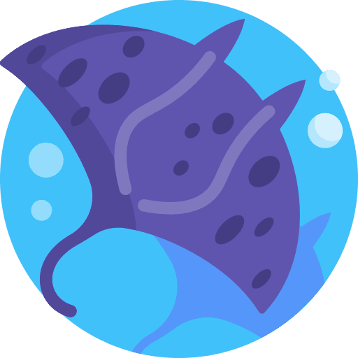 Manta Ray Icon