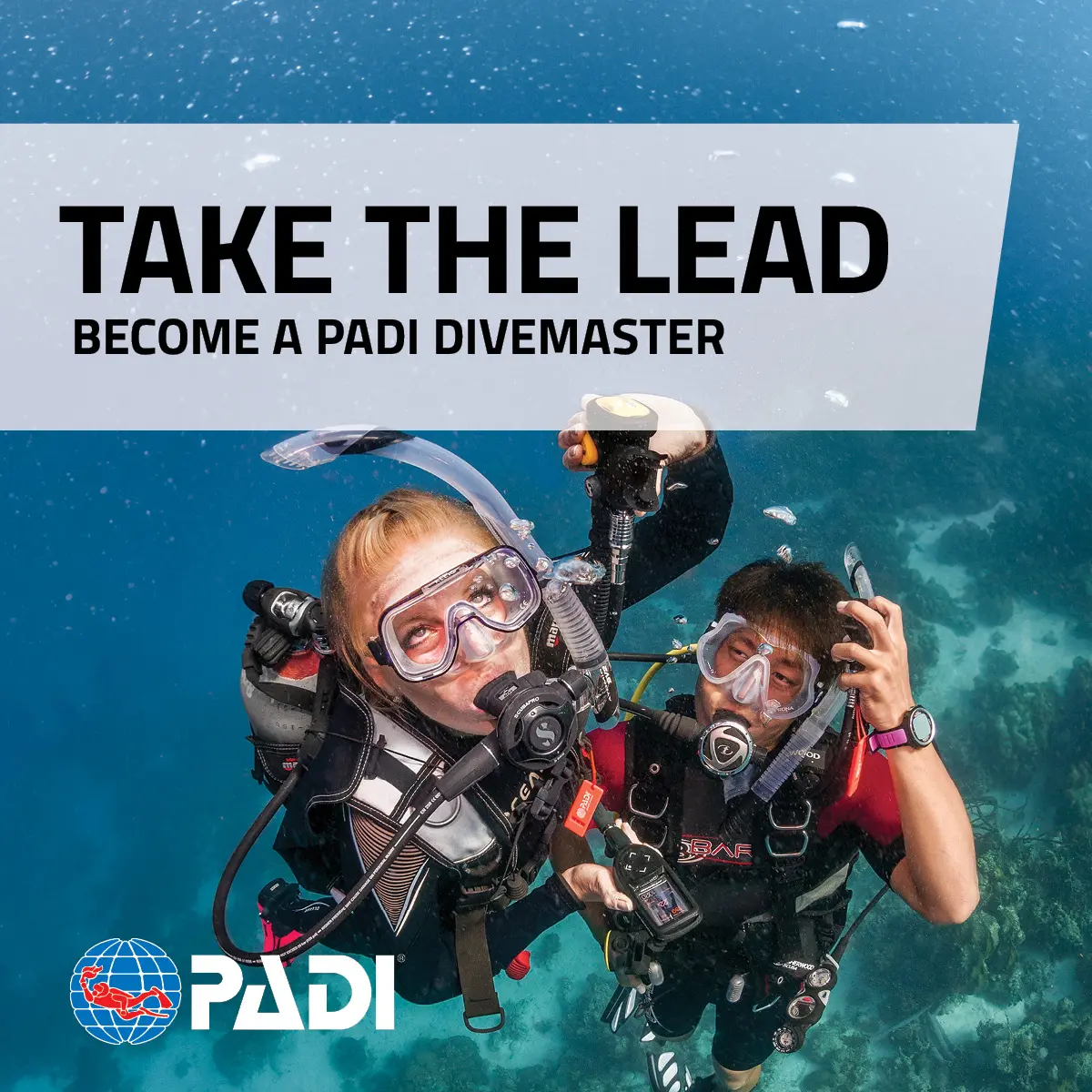 PADI Divemaster Course