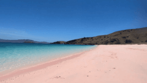 pink beach komodo