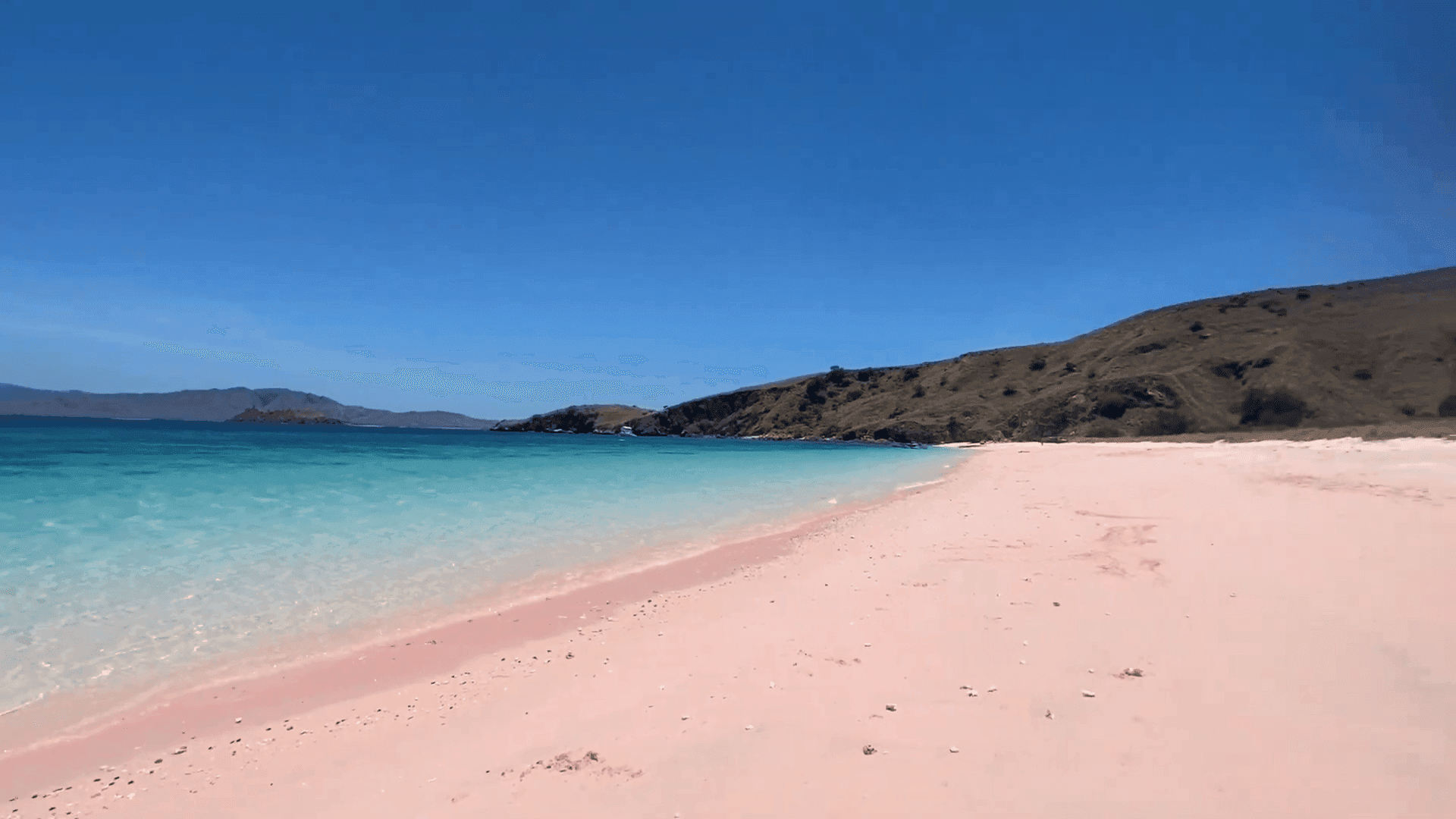 Pink Beach in Komodo, known for its unique sand color and marine diversity