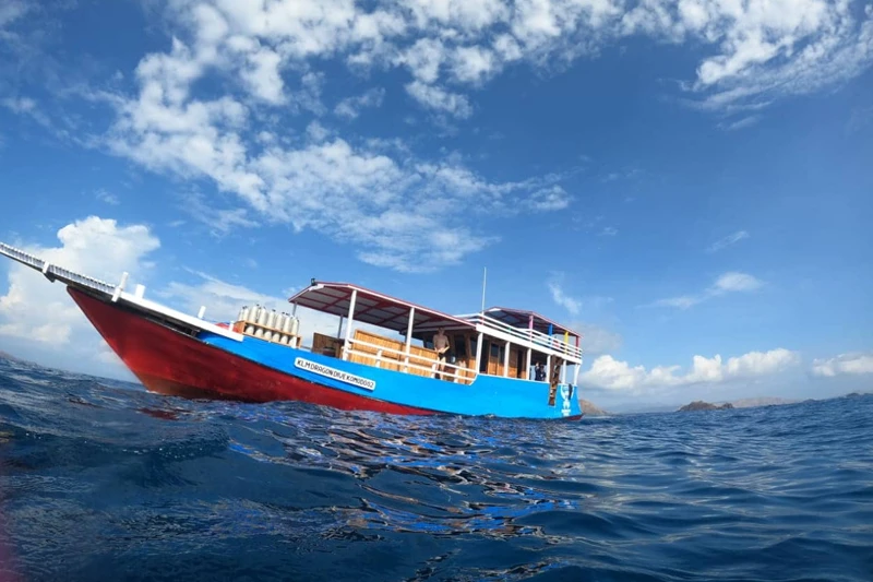 Komodo Daily Dive Trips