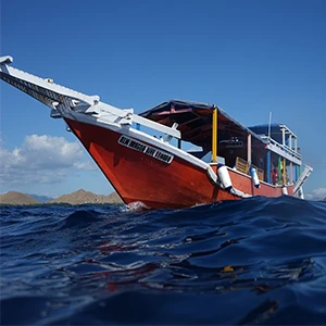 Shiryu, Dragon Dive Komodo day boat
