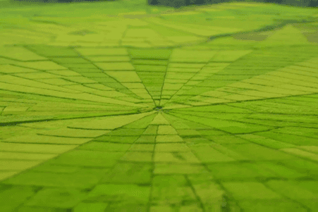 Spider Web Lingko Rice Fields Cancar Ruteng Flores