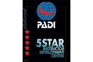 Dragon Dive Komodo's PADI 5-star certified team ensuring professional and safe Komodo diving trips