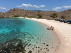 diving and visiting pink beach in komodo