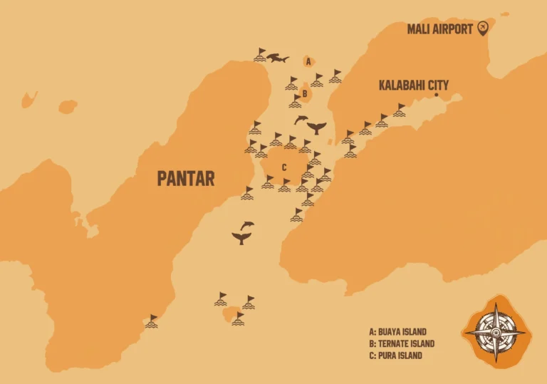 Illustrated map showcasing popular diving sites in Alor, including Pantar Strait, Beangabang Bay, and Kepa Island, with icons representing reefs, critter hotspots, and coral gardens.