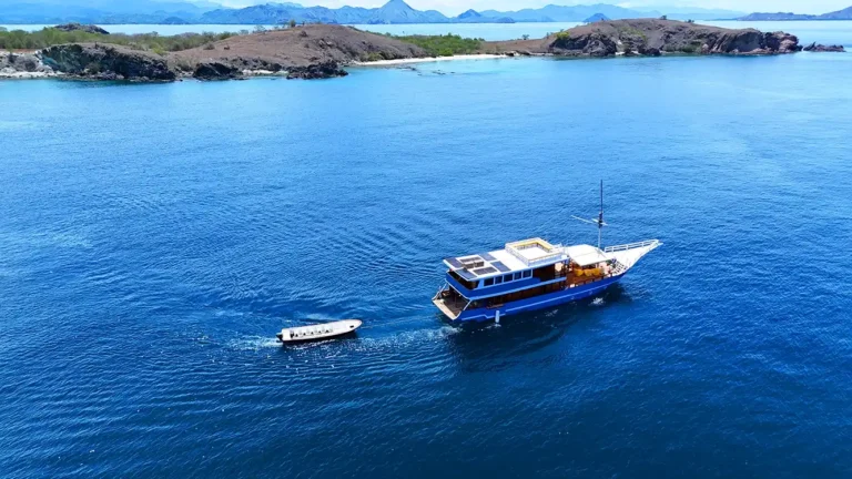 diving liveaboard alor and komodo with Shenron