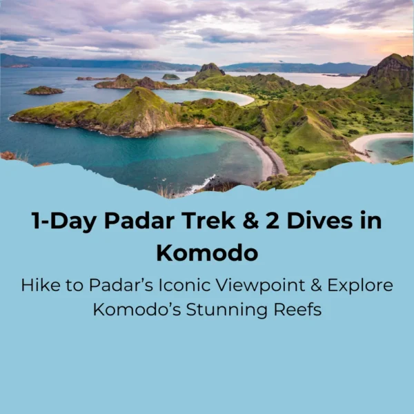 Padar Trek & 2 Dives in Komodo – The Ultimate Adventure