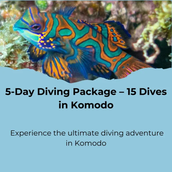 5-Days of Diving in Komodo – 15 Dives in Paradise