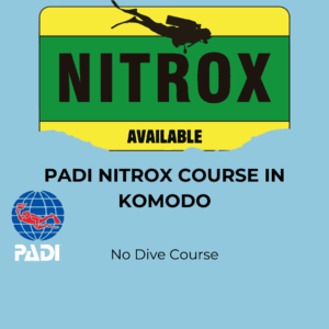 PADI Nitrox Course in Komodo