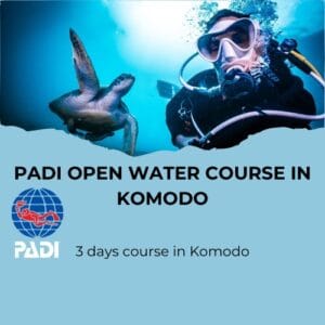 Diver doing his PADI open water course in Komodo