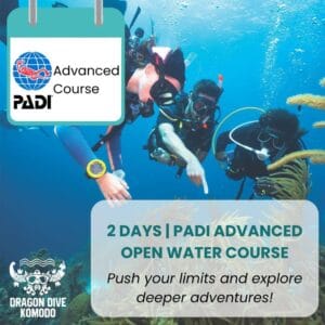 ADI Advanced Open Water certification in Komodo - Deep dives, navigation, and adventure