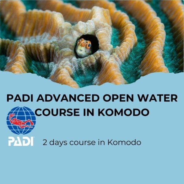 PADI Advanced Open Water Course in Komodo