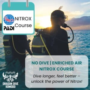 PADI Nitrox Course in Komodo - Learn to dive with enriched air for longer and safer dives