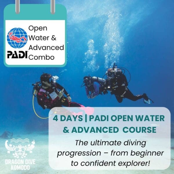 PADI Open Water & Advanced Course combo in Komodo - From beginner to advanced diver