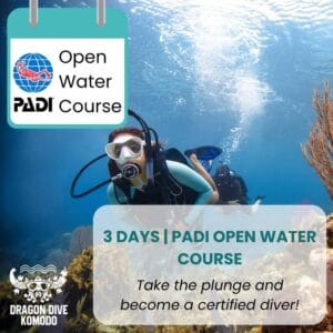 PADI Open Water Course in Komodo - Learn to scuba dive in Indonesia’s best diving spots