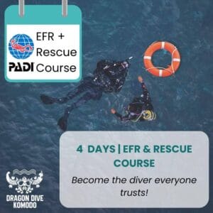 PADI Rescue Diver & EFR | Learn to Handle Dive Emergencies