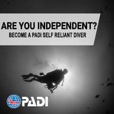Padi Self reliant course in Komodo