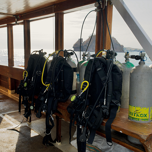 Alor diving