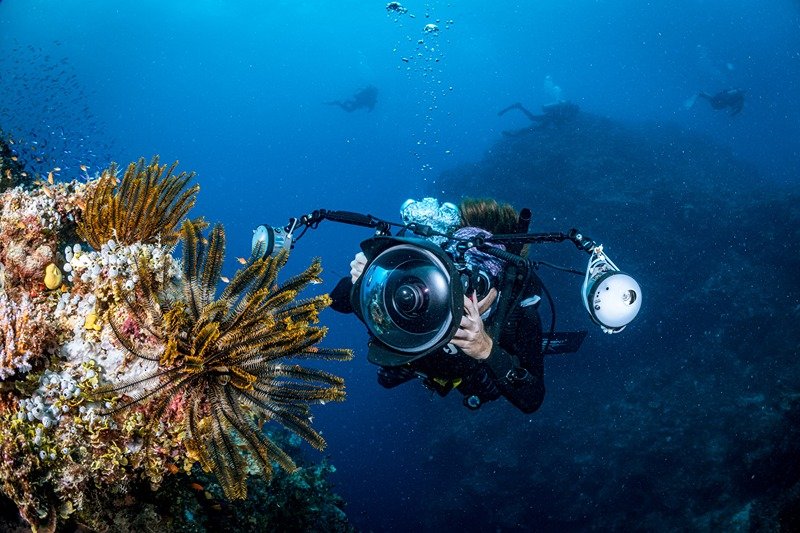 Digital Underwater Photography