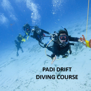 padi drift diver course in komodo