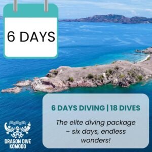 6 days scuba diving in Komodo