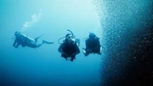 deep diver 2