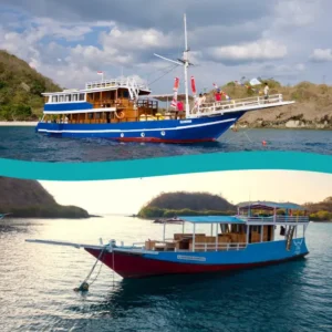 Komodo liveaboard or daily trips diving