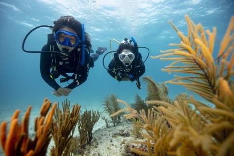 Beginner diver completing a Discover Scuba Diving experience in Komodo