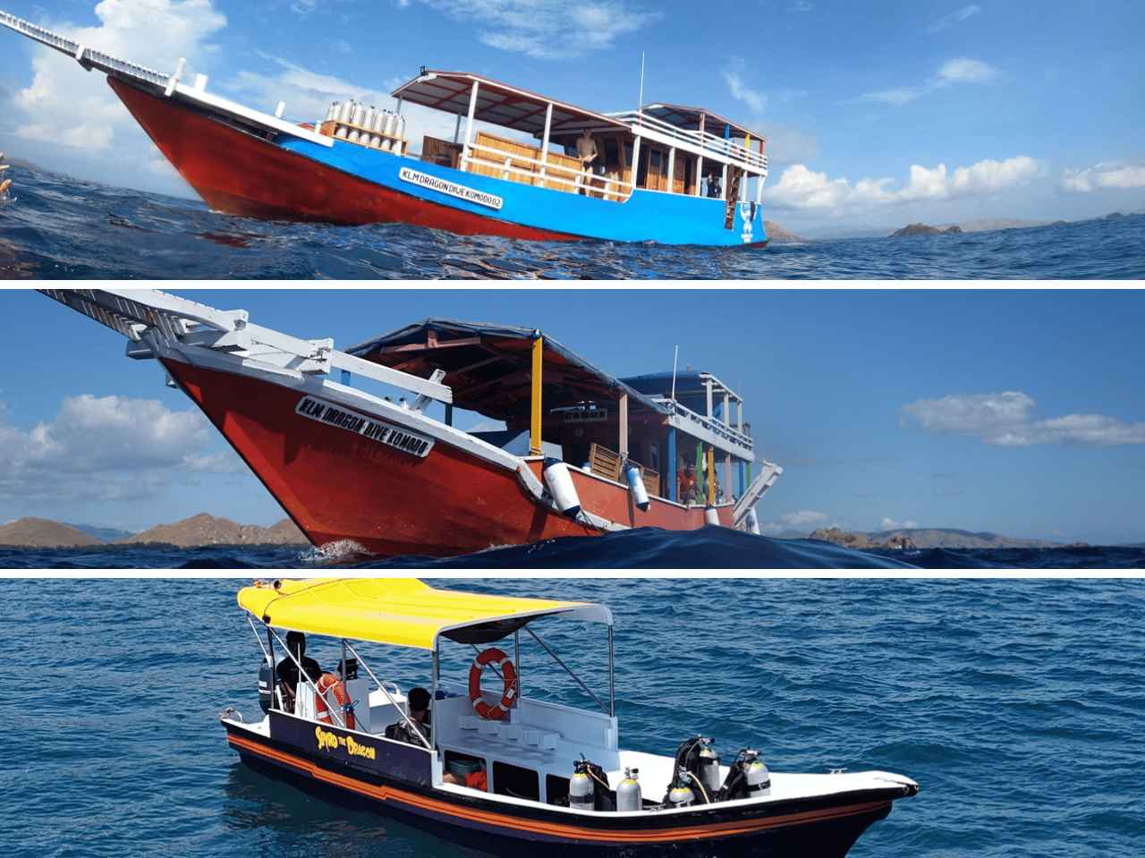 Dragon Dive Komodo fleet: Shiryu and Smaug day boats with the Spyro speedboat