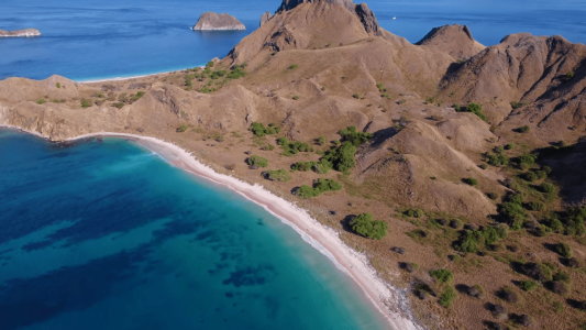 a sandy pink beach in the stunning Komodo national park