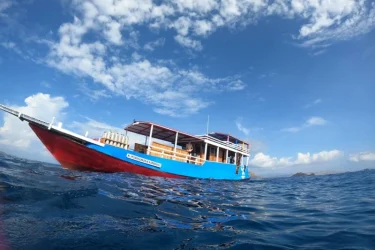 Smaug-dialy-dive-boat-and-liveaboard-diving-in-komodo.webp