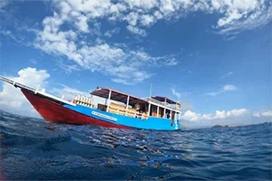 daily-dive-boat-komodo-dragon-dive