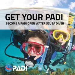 padi open water course in Komodo