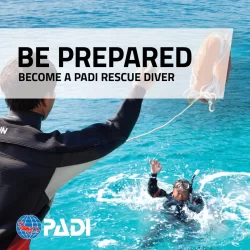 padi rescue course in komodo