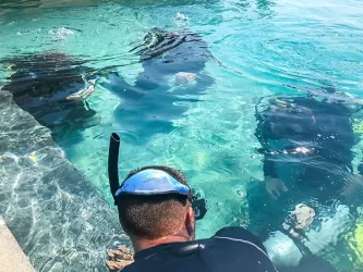 rescue course padi indonesia komodo